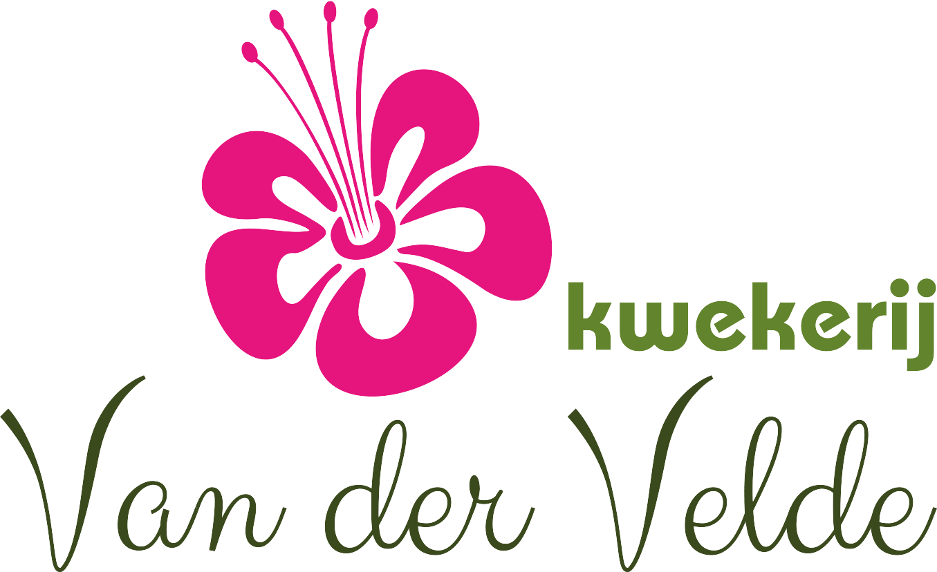 Kwekerij van der Velde logo